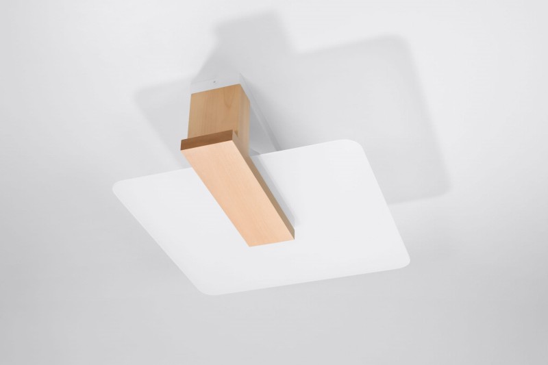 1095-4.jpg