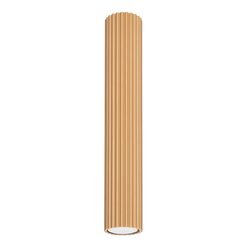 b57d60d3da52f3563a2aefc01df5bdb8