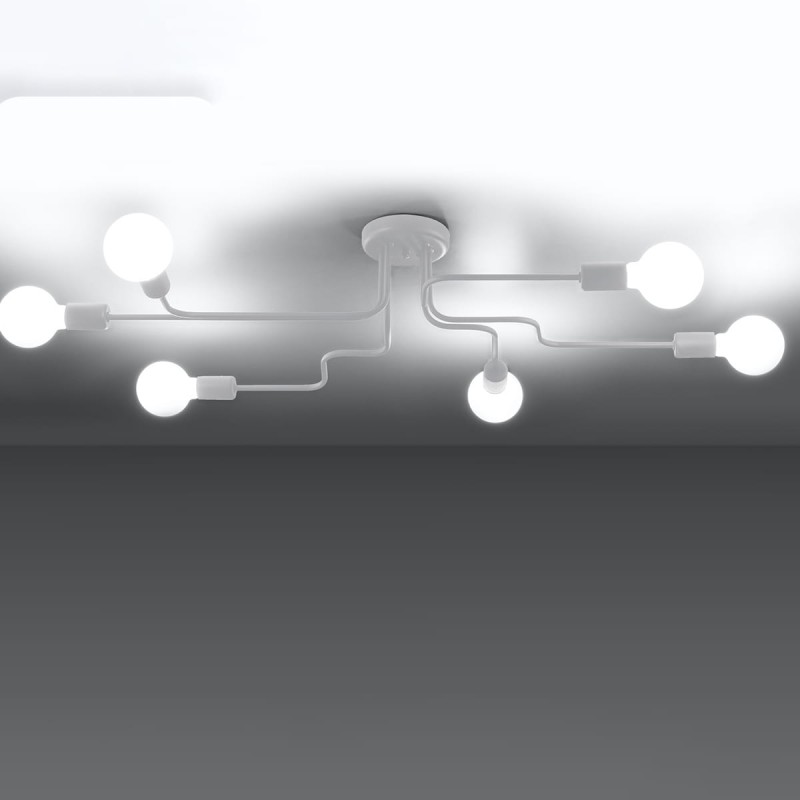 c838d29121c738d84a7dcfc5b49905f2