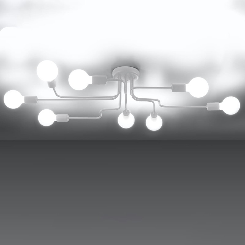 666ed6d87193684a029bc9ea8acef335