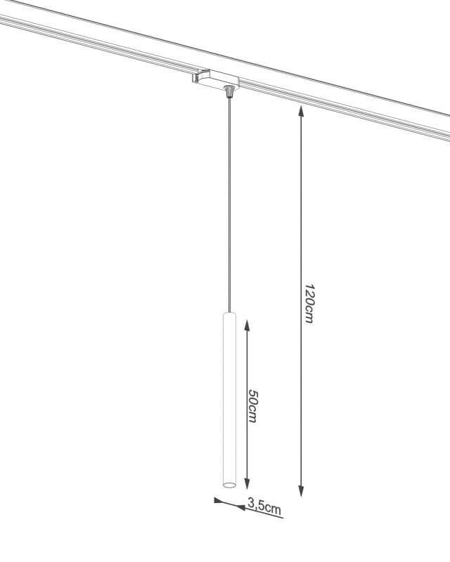 00146-10.jpg
